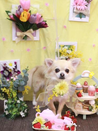 20230316とわくん